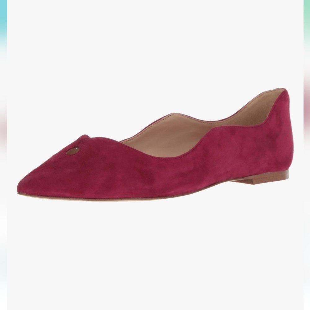 Sam Edelman Pointed Toe Ballet Style Flats, Women's Size 8.5M